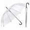 무표 65자동 12K POE 엣지바이어스 투명 장우산